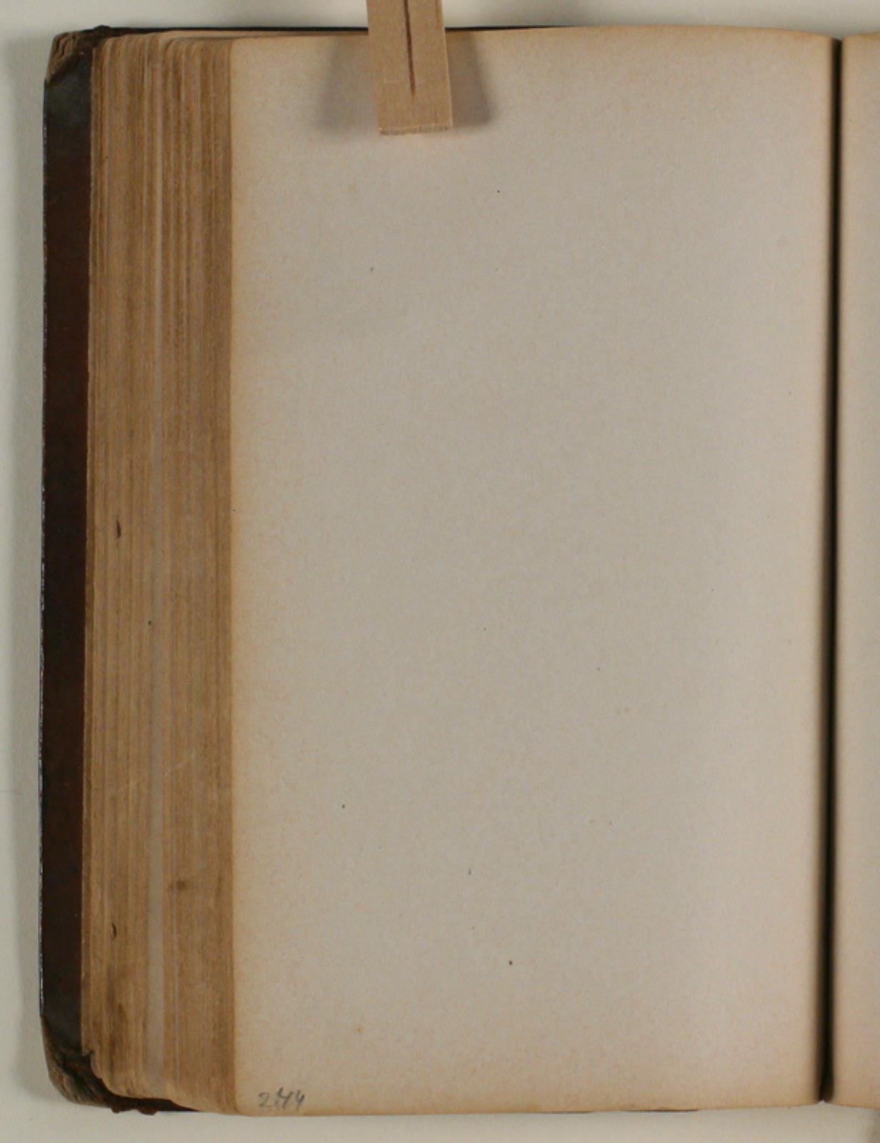 Niels Larsen Stevns, Blank