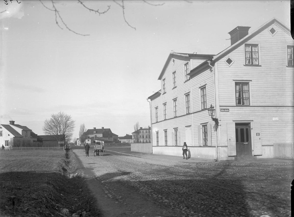 Alfred Dahlgren, Börjegatan mot nordväst från Luthagsesplanaden, Uppsala 1901 - 1902