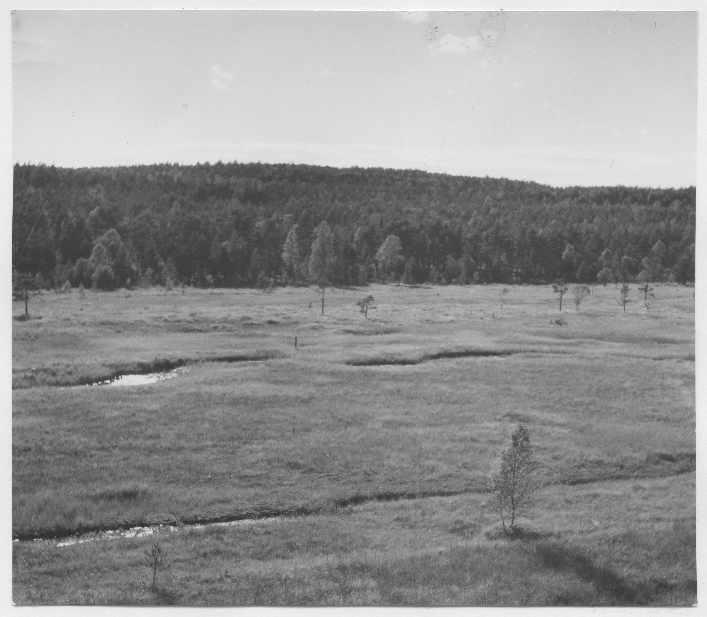 Mårten Sjöbeck, Mon