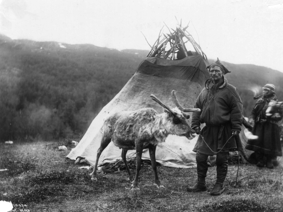 Anders Beer Wilse, Svenske samer og et reinsdyr utenfor et telt. Antagelig Lyngseidet 1909