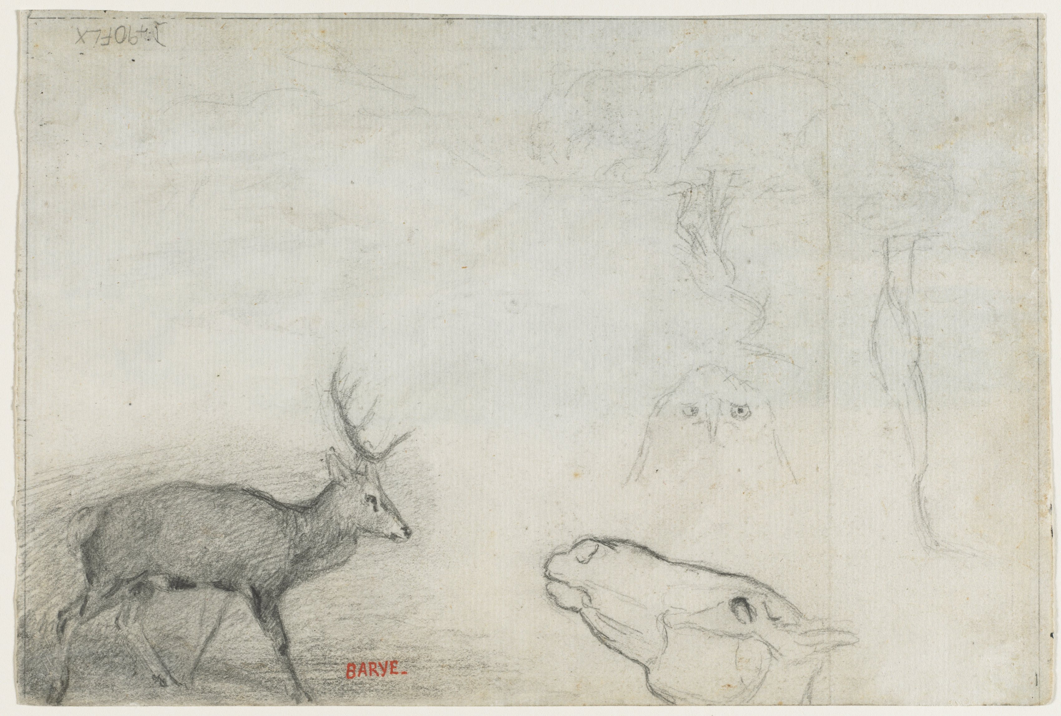 Antoine-Louis Barye, Studies of Animals (verso)