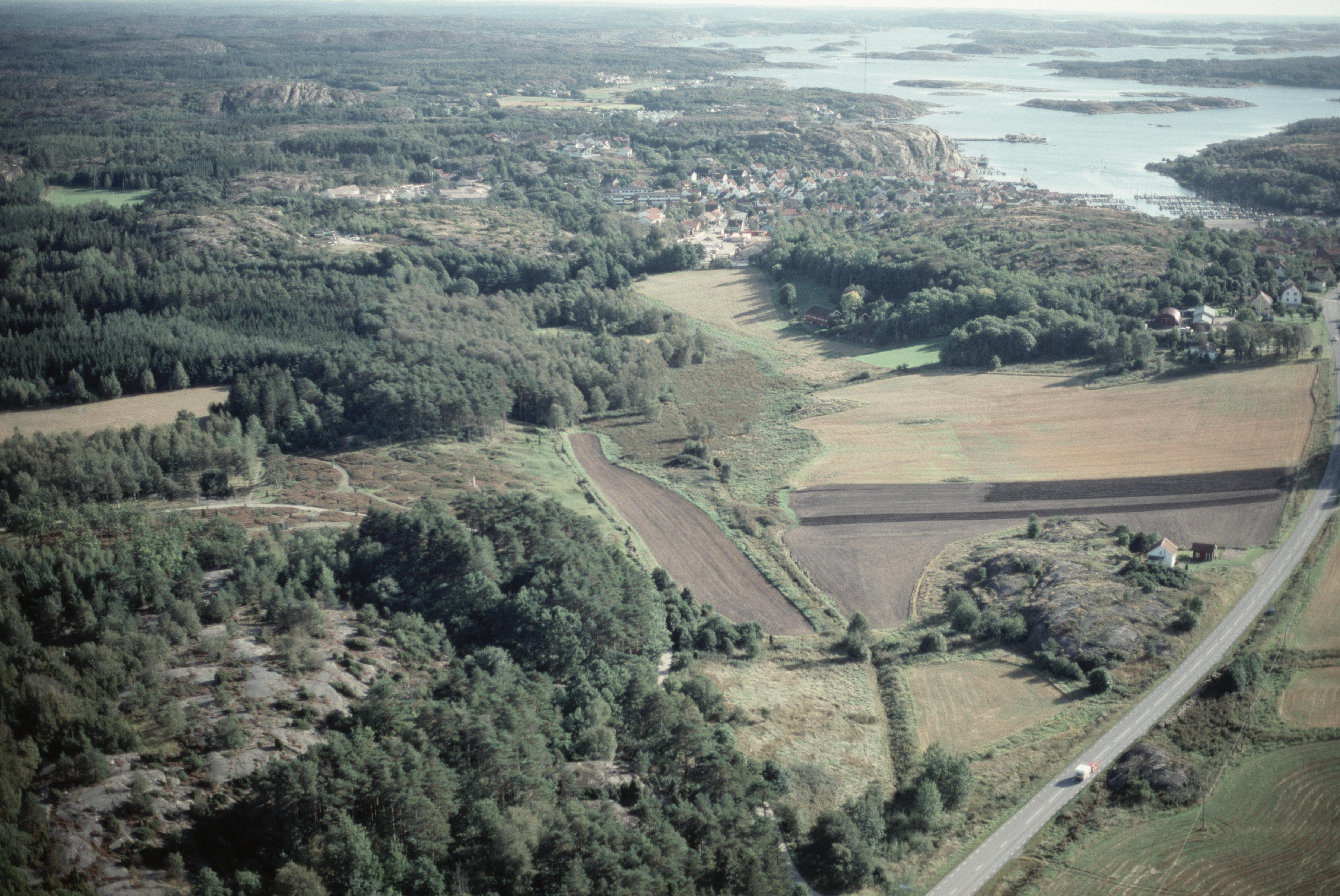 Jan Norrman, Tanum 734:1