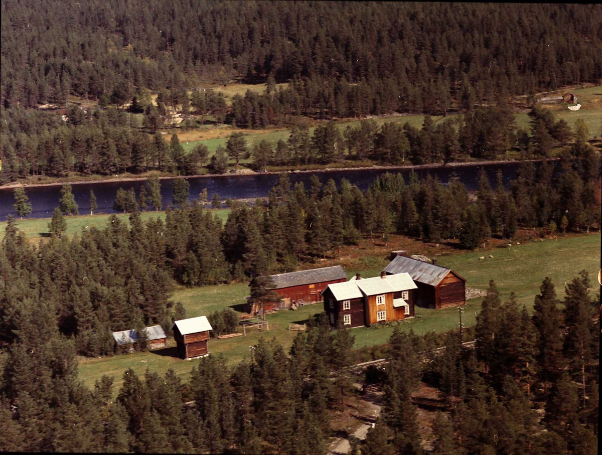 Widerøes Flyveselskap A/S, Gårdsbruk.