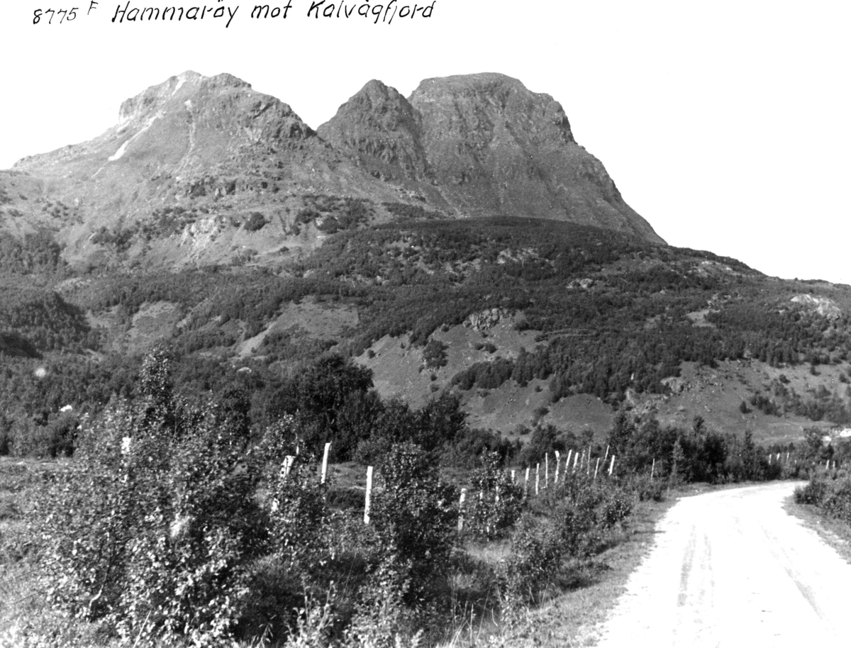 Anders Beer Wilse, Topografi