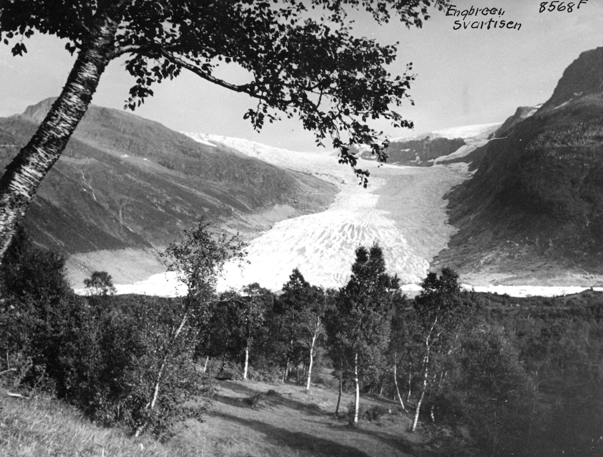 Anders Beer Wilse, Topografi
