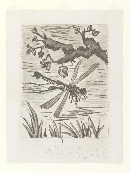 Pablo Picasso, Histoire Naturelle