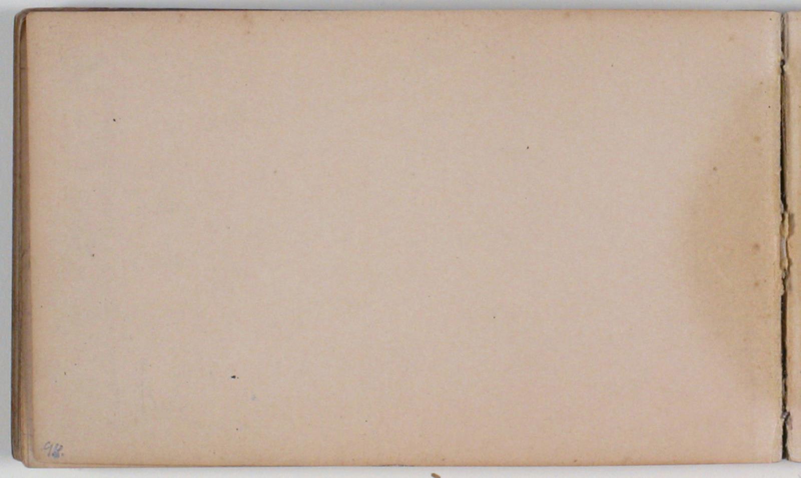 Niels Larsen Stevns, Blank