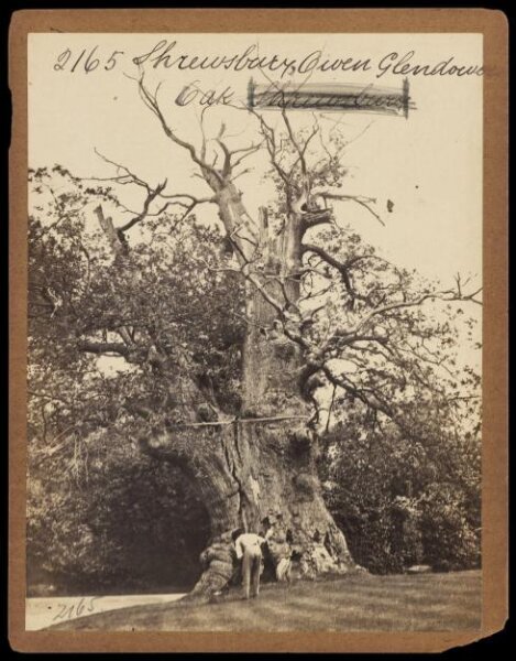 Francis Frith, Photograph