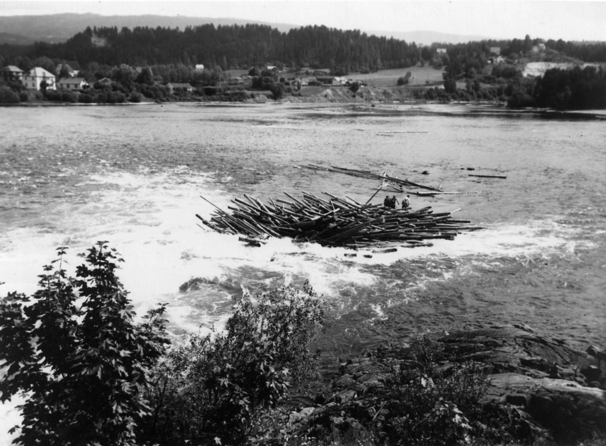 Anders Beer Wilse, Tømmerkvase, Ringerike