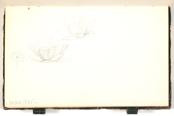 P.C. Skovgaard, Blomsterstudier