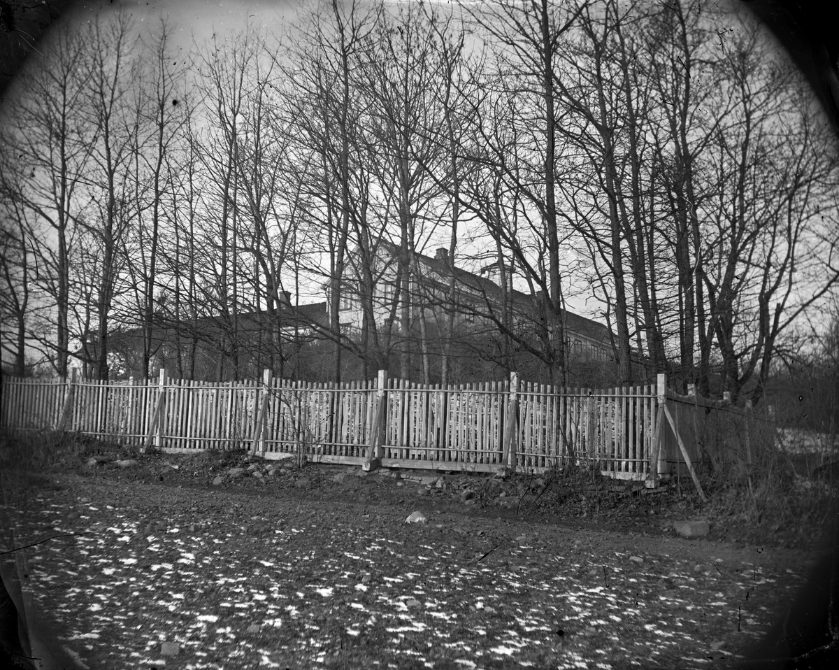 Jacob Tollesen Hoel, Hovinsholm gård, Helgøya i Ringsaker. Hovedbygningen sett fra gravstedet. Gjerde, stakitt. Foto Jacob Hoel,