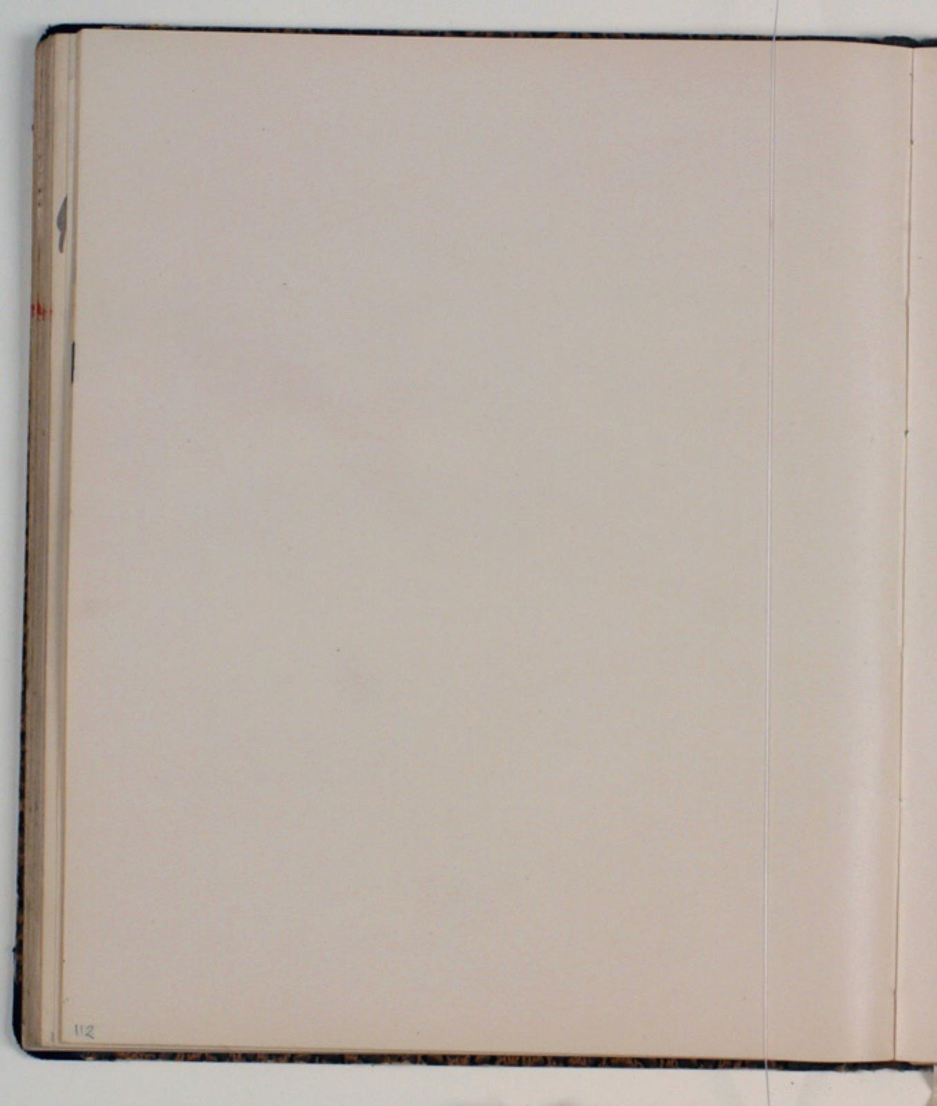 Niels Larsen Stevns, Blank