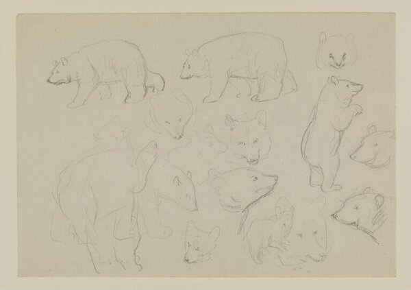 Potter, Beatrix, drawing