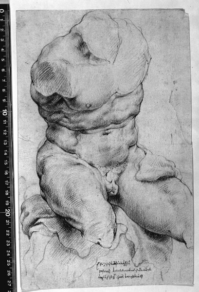 Willem Panneels, Torso Belvedere