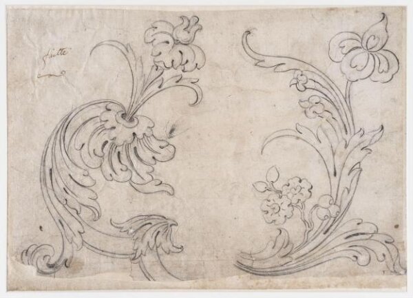 unknown, Drawing