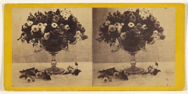 Edward and Henry T. Anthony & Co., Vase of Artemisias.