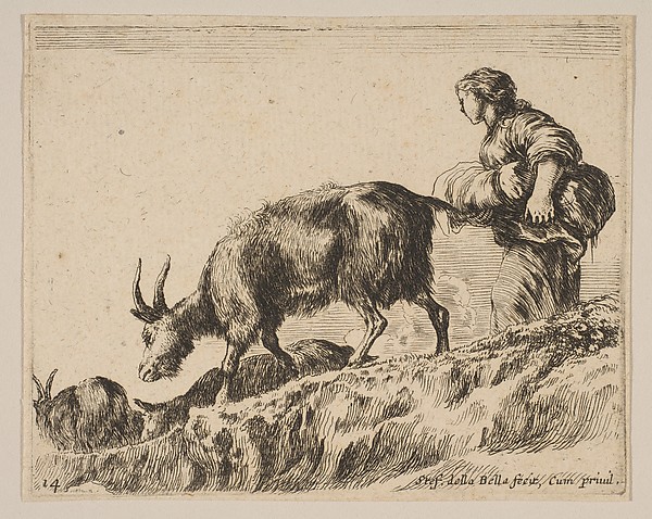 Stefano della Bella, Plate 14: Shepherdess herding goats, from "Various animals" (Diversi animali)
