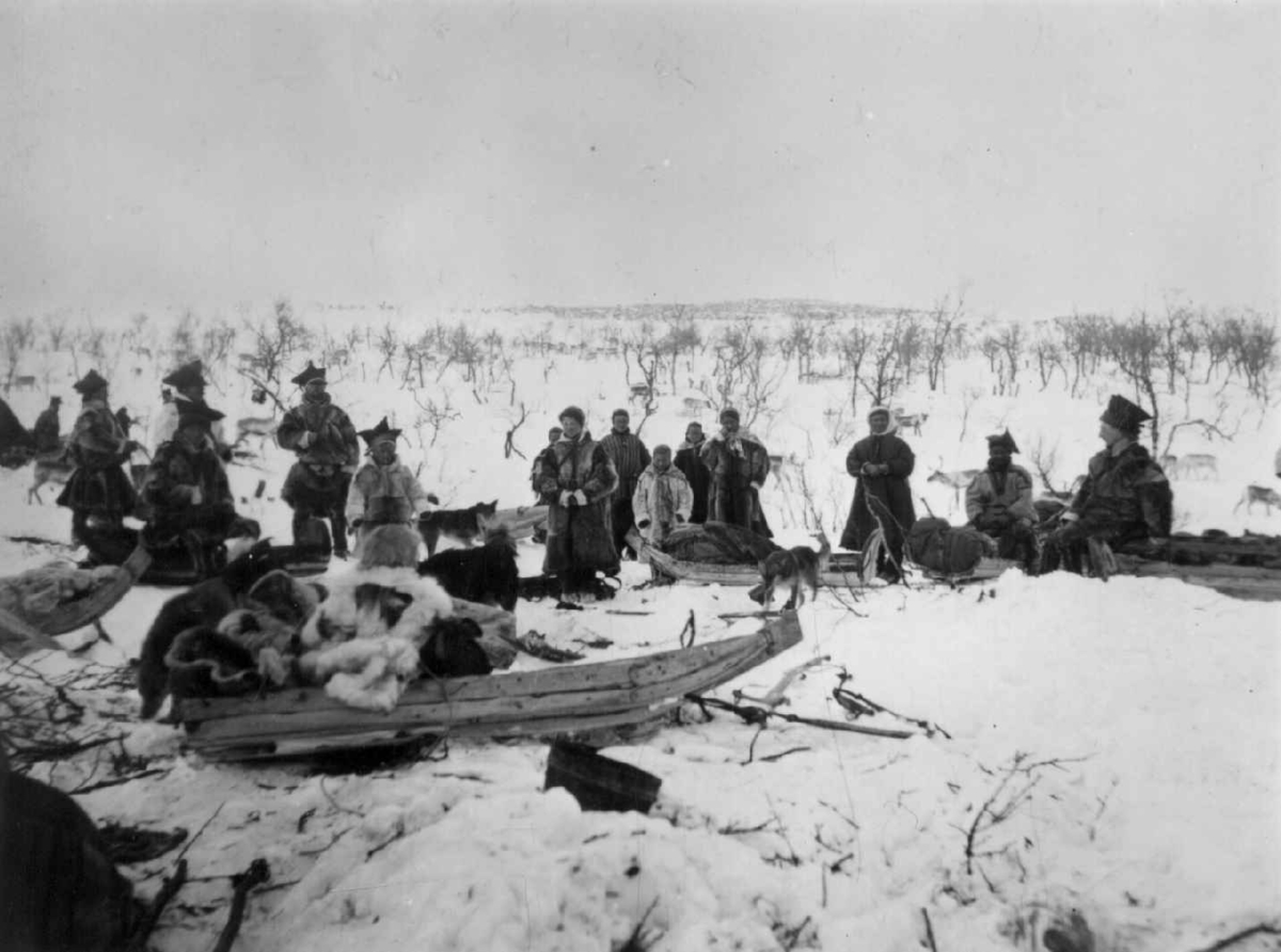 Konrad Nielsen, Folk har en stans under vårflytting, en stor reinsdyrflokk i bakgrunnen. Øst-Finnmark.