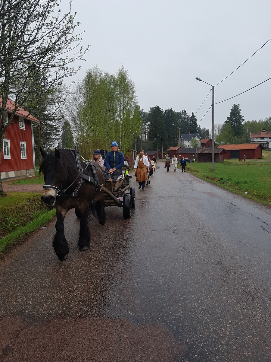 Jennie Tiderman-Österberg, Hela buffringståget till Arvselen, Malung, 2018. Fotot taget utanför Jägra by.