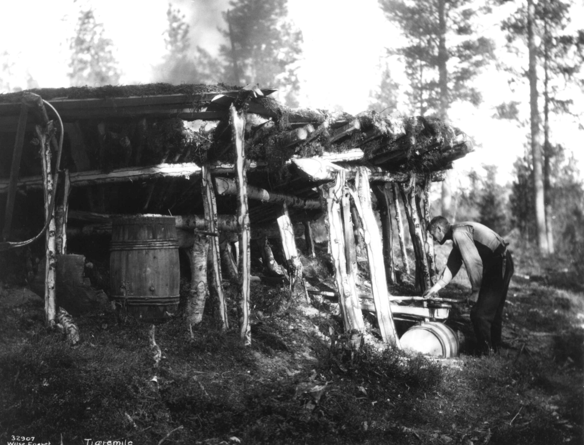 Anders Beer Wilse, Tjærebrenning