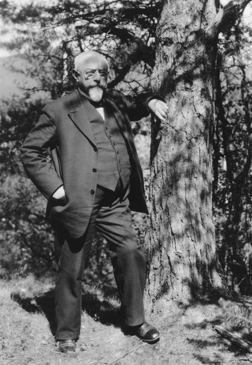 Anders Beer Wilse, Tollef Kilde, Østerdalens turistforenings styre. Ved furutre, 1929.