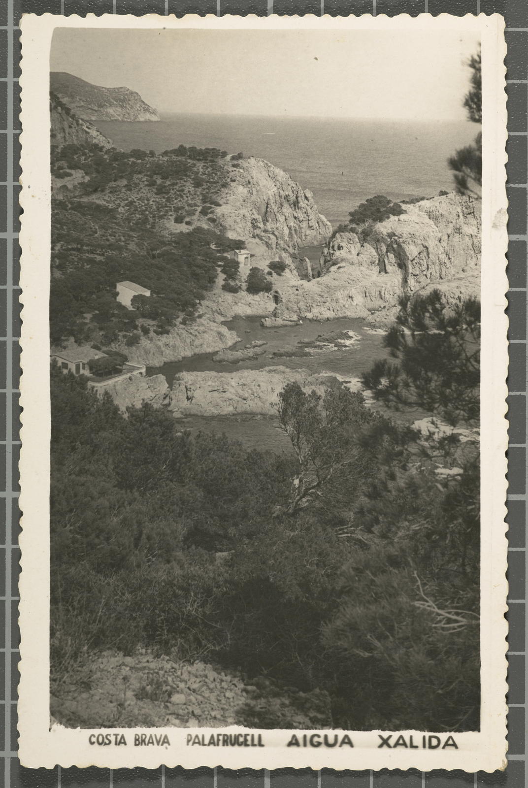 Desconegut, Costa Brava. Palafrugell. Aigua Xalida