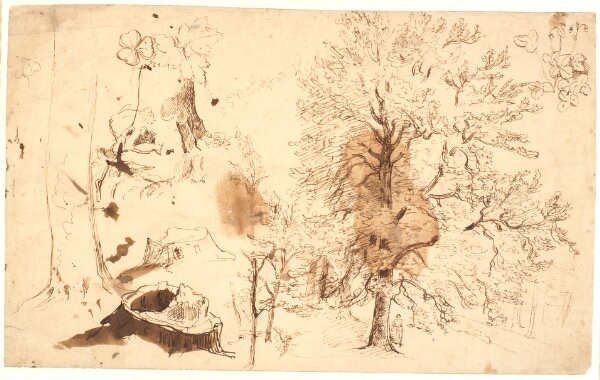 Dankvart Dreyer, Studie med træer, planter og stubbe