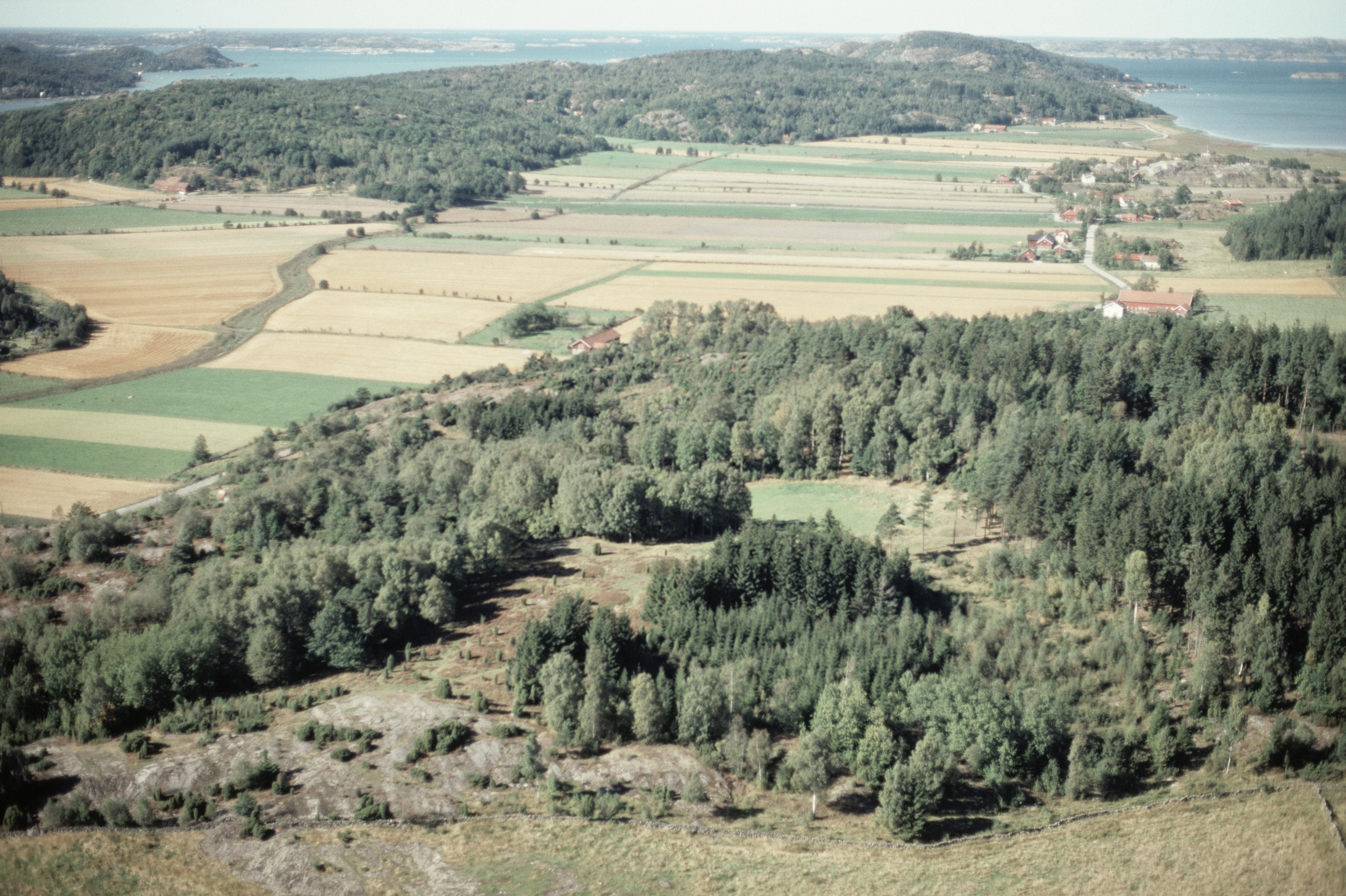 Jan Norrman, Hålta 12:1