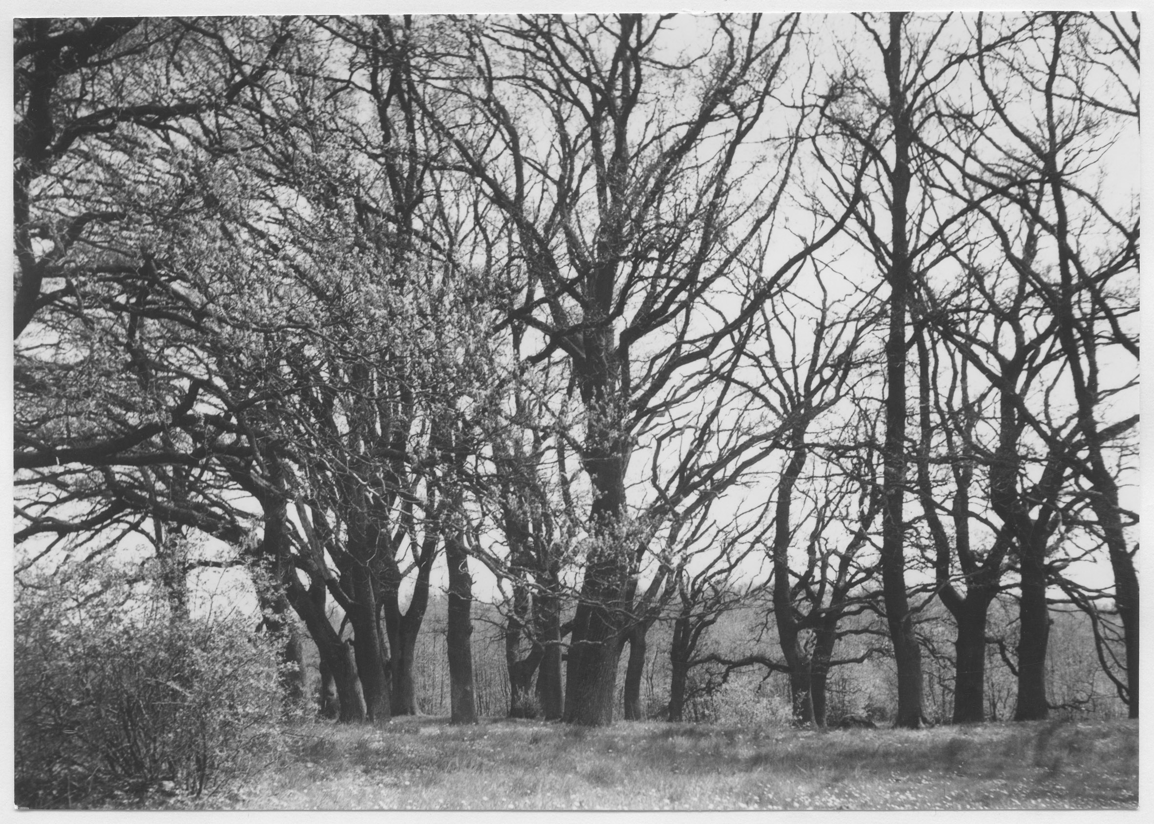 Mårten Sjöbeck, Egeside