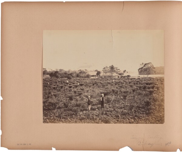 Unknown, Tingri Factory. Dibroghur