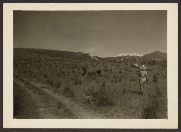 Louis Fleckenstein, [Landscape]