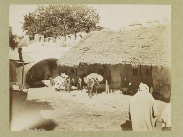 Unknown, Photograph