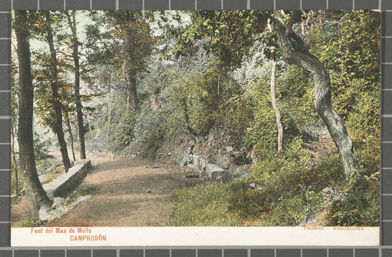 Desconegut, Source of Mas de Mollo. Camprodon