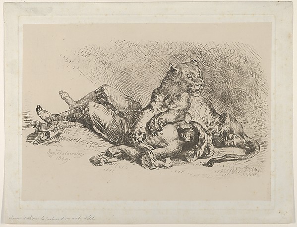 Eugène Delacroix, A Lioness Mauling the Chest of an Arab