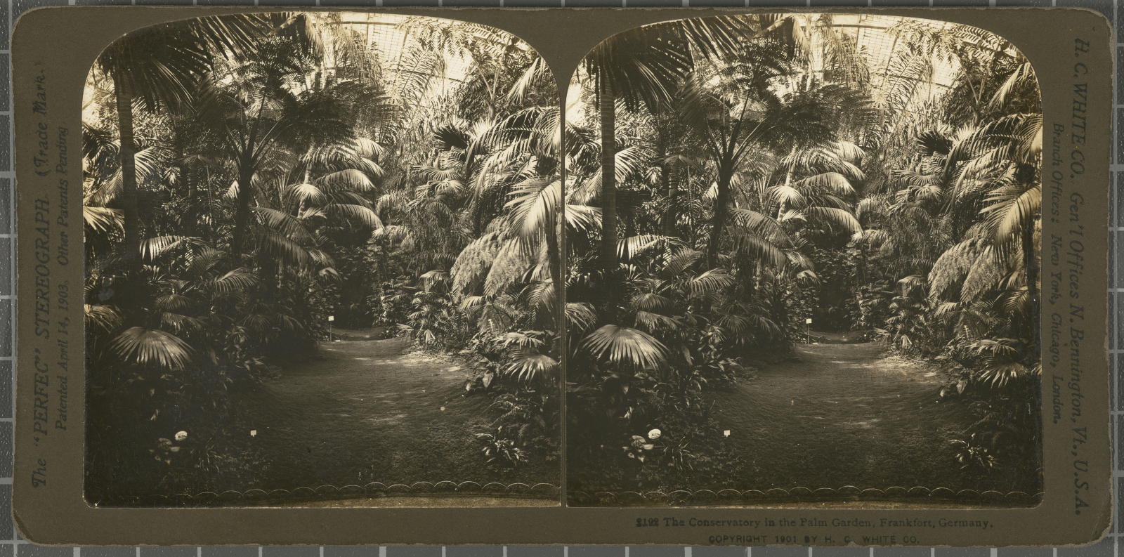 Desconegut, The Conservatory in the Palm Garden, Frankfort, Germany. White, H.C. & Co., The\ ‘Perfec\’ Stereograph