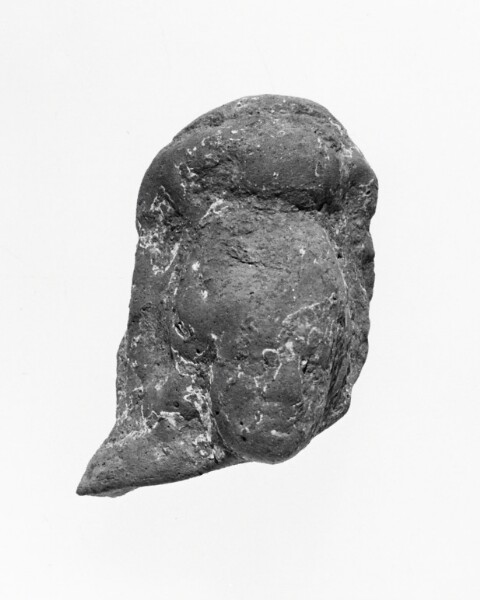 Unknown, Female Head