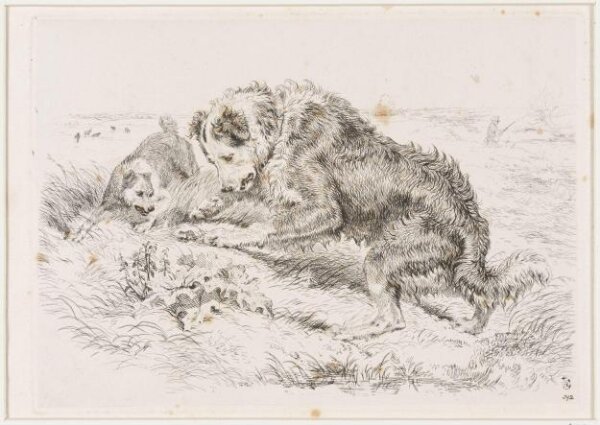 Edwin Landseer, The Frog
