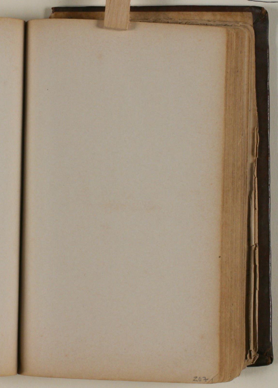 Niels Larsen Stevns, Blank