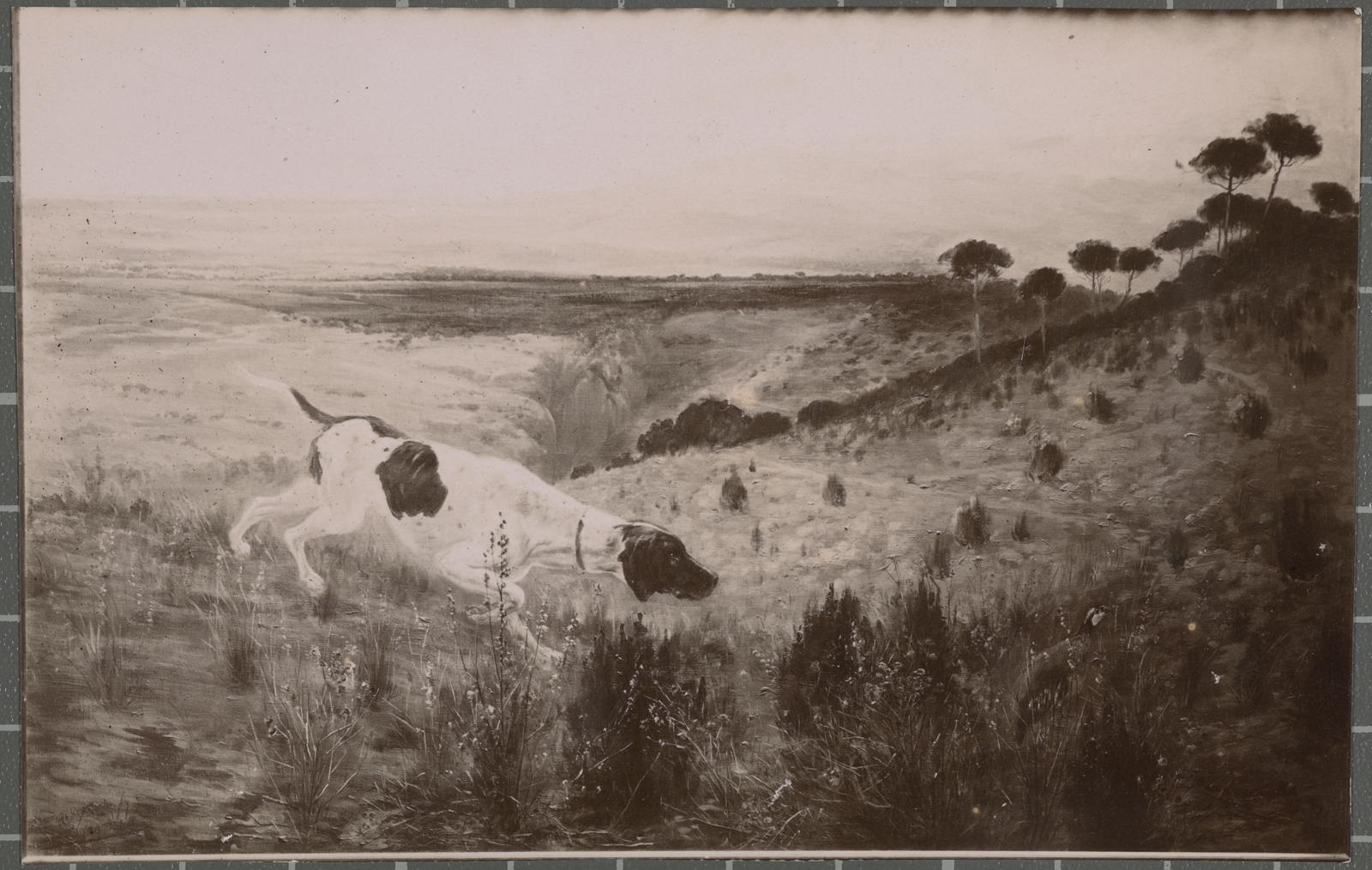 Desconegut, [Landscape]