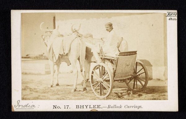 Unknown, Bullock carriage