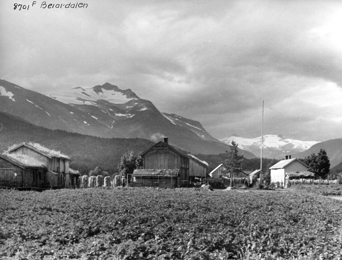 Anders Beer Wilse, Topografi