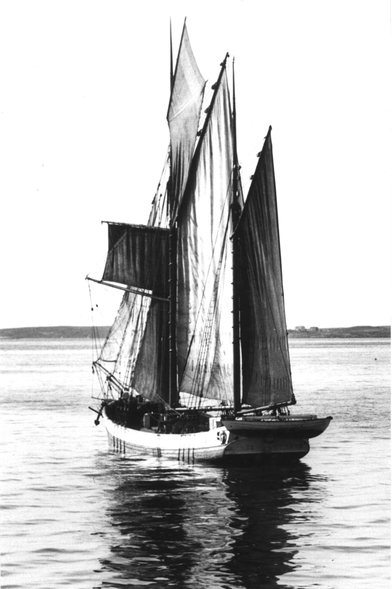 Anders Beer Wilse, Galeas "Nansen".