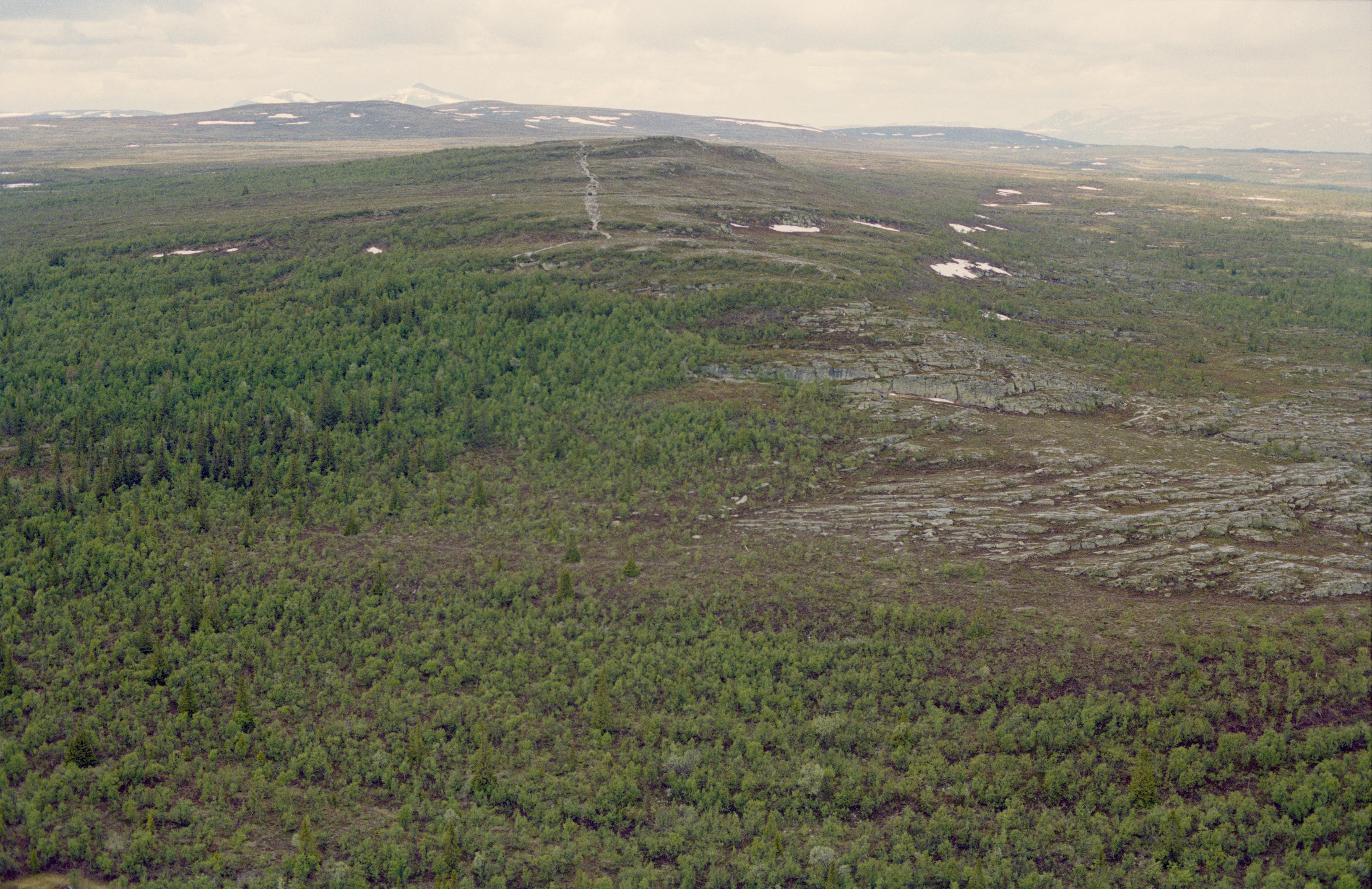 Jan Norrman, Tännäs 58:1