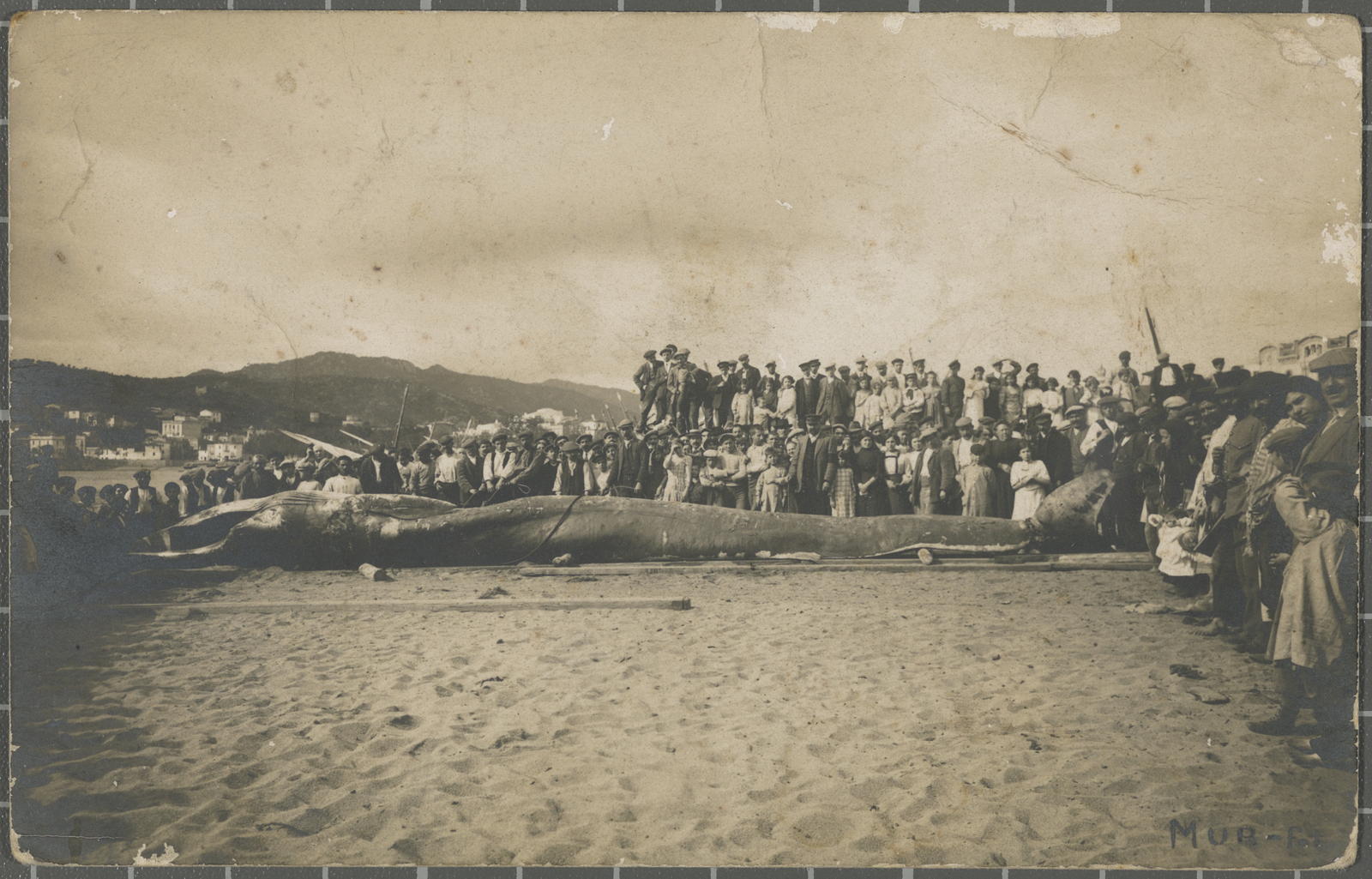 Ricard Mur Dargallo, [Saint Feliu de Guixols]