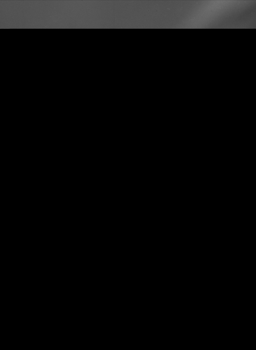 Gustav Borgen, NFB.13423