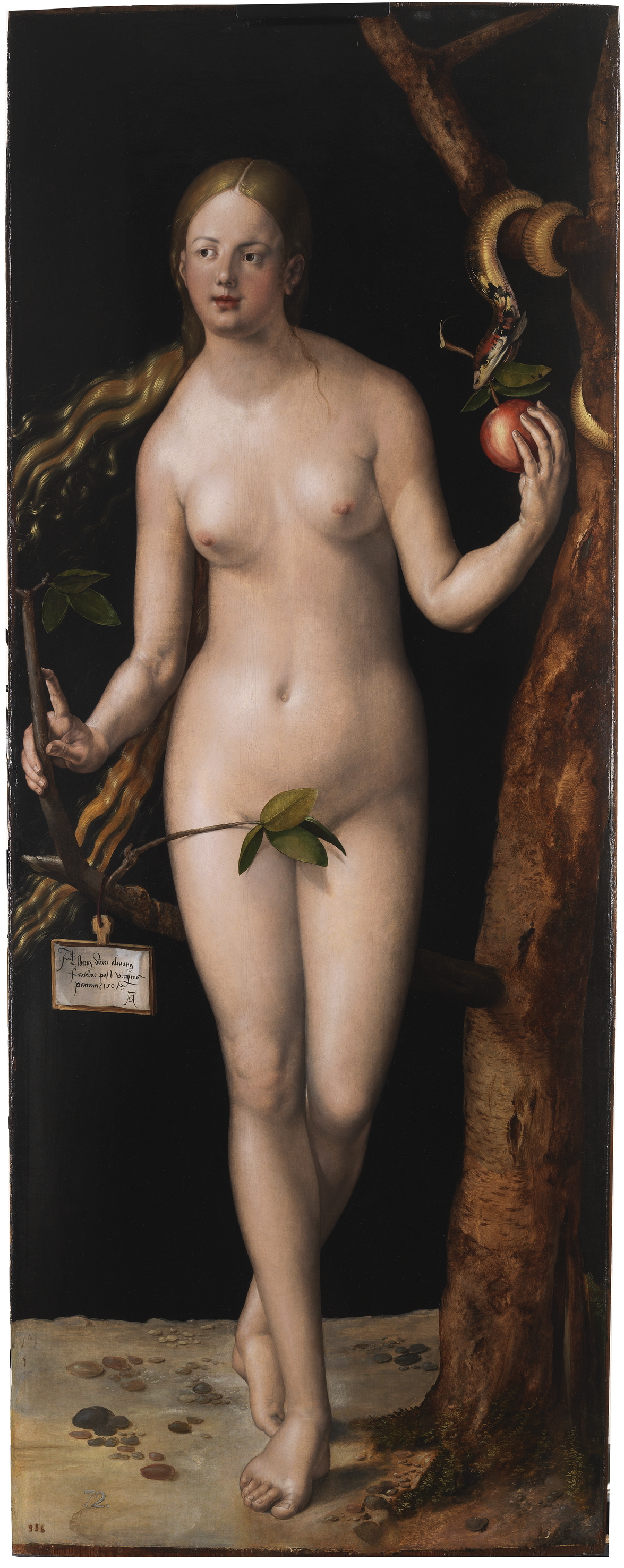 Albrecht Dürer, Eve