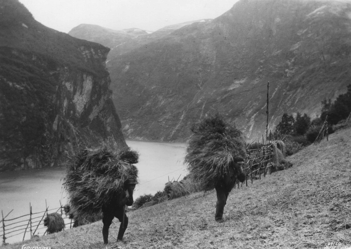 Anders Beer Wilse, To menn bærer høy på ryggen. Geiranger, Møre og Romsdal 1926.