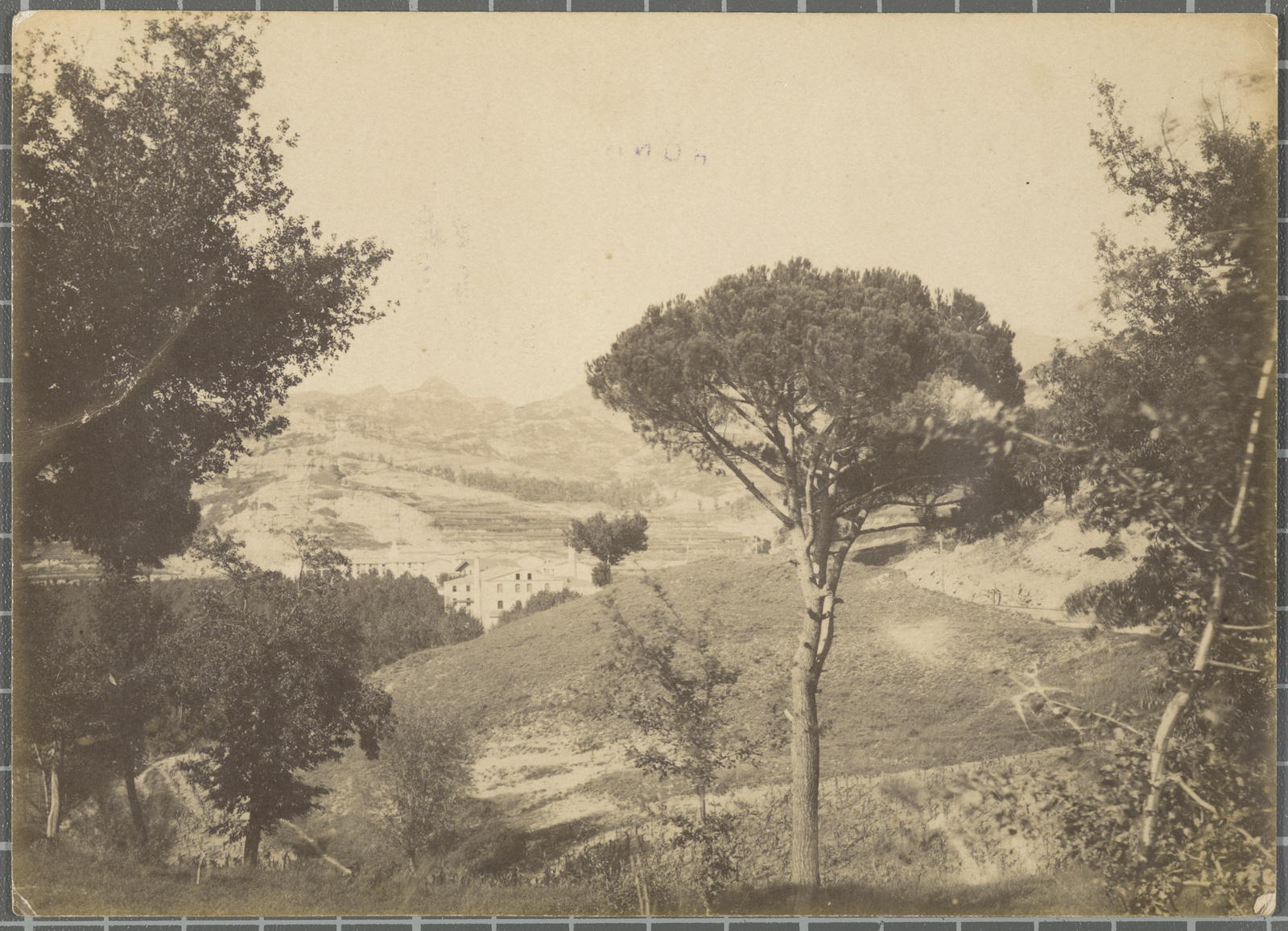 Desconegut, [Torello]