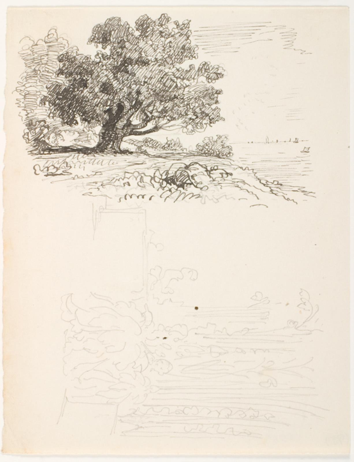 Lorenz Frølich, F.o et egetræ. F.n. træer og planter. Illustrationsudkast til H.C. Andersen, Det gamle egetræs drøm