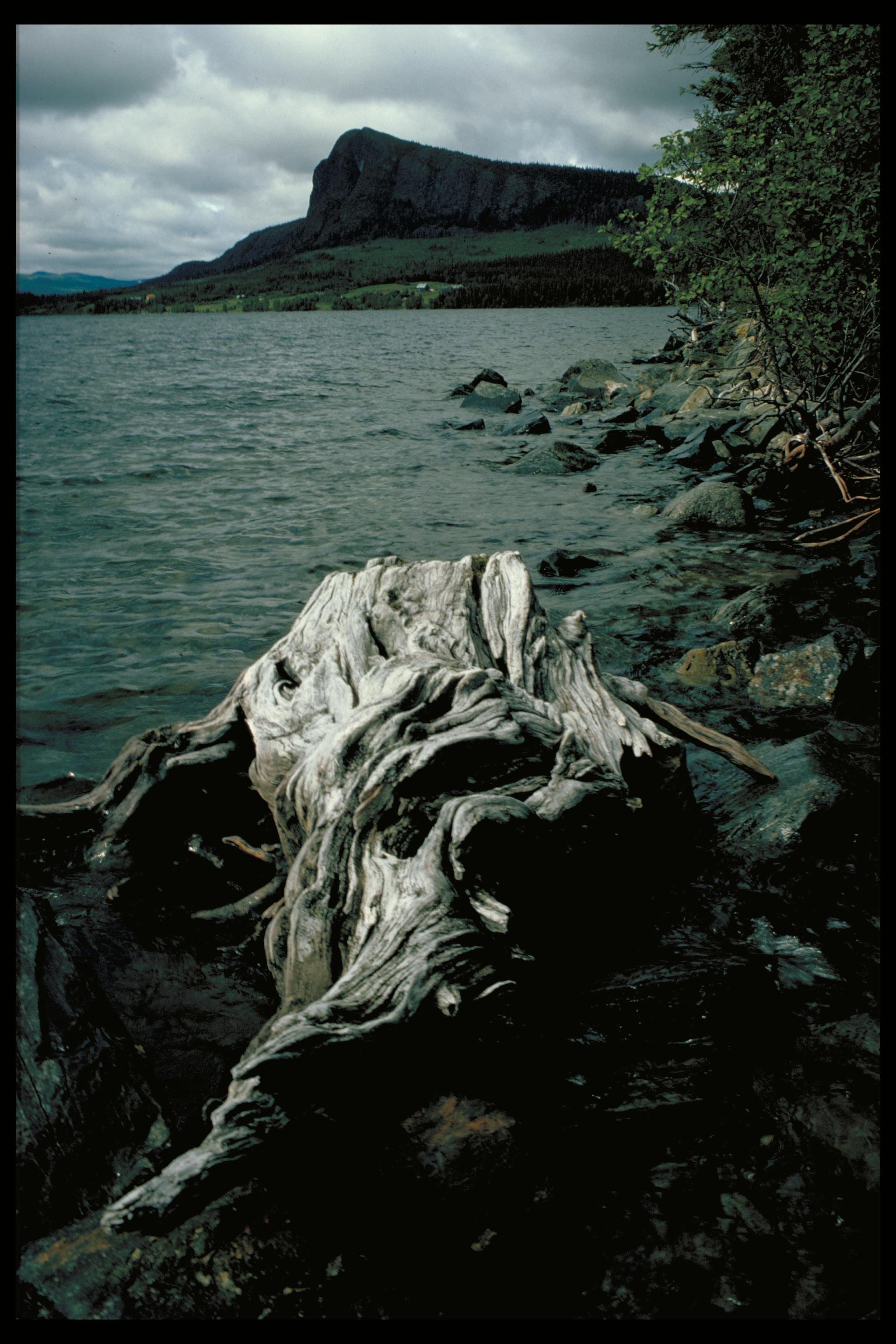 Pål-Nils Nilsson, Kalberget